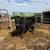 Registered Angus Heifers 3 thumbnail