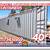 20 40 ft Cargo Container Storage Reefer Shipping Shed Sheds Containers 23 thumbnail