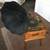 Guild 785 "The Grafonola" Phonograph / Radio 1 thumbnail