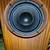Klipsch KSP-300 Speaker Pair 15 thumbnail