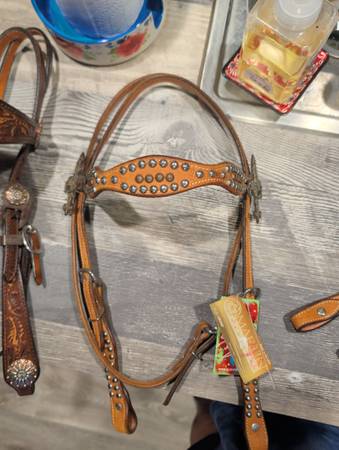 New!!! Martin Saddlery Gypsy soule headstall (guitar) 1