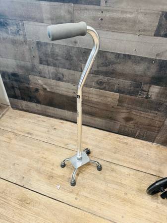 Cane 1