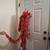 Child Dinosaur Halloween Costume 2 thumbnail