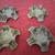 (4) Ford Taurus Center Cap 4 thumbnail