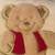 BROWN TEDDY BEAR IN RED VEST WITH GOLD TRIM THROW PILLOW BEIGE 15" 2 thumbnail