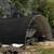 Pond liner For sale- Strong, Durable, Uv resistant,Free Shipping! 6 thumbnail