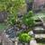 Hollywood Hills Cottage - Short Term Rental 19 thumbnail