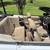 2000 Ford Mustang Convertible 6 thumbnail