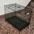 Midwest iCrate Single Door Folding Dog Crate Kennel Like New 2 thumbnail