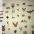 WWII Victory Pins 3 thumbnail