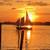 Classic Pilot Schooner, Atkin Island Princess 39 2 thumbnail