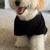 Poodle puppy 2 thumbnail