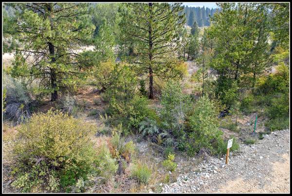 $97,990 / 13500ft2 - Easy Mountain Living - Building Lot 35-40 Min from Boise (Idaho City)64003313136257120