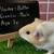 Guinea pig Male (Savethepetz) 10 thumbnail