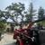 TREE &STUMP GRINDING &STUMP REMOVAL SERVICE 1 thumbnail
