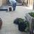 Ramirez Handyman landscaping 12 thumbnail
