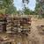 Firewood 3 thumbnail