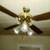 Ceiling fans 5 thumbnail