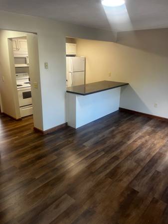 $550 / 1br - Nice 1 BDRM, 1 BTH at Nicholas Street Apartments (Abingdon, VA)63683246627073121