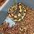 Proven Breeder Spotnose Enchi Dbl Het Clown Lavender Ball Python M 1 thumbnail
