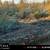 Create your ideal residence on this spacious 0.61-acre lot 3 thumbnail