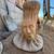 Tree Stump Faces 2 thumbnail