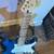 Fender Squier Strat Electric Guitar 2 thumbnail