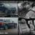 2016 Toyota RAV4 SE Sport Utility 4D 13 thumbnail