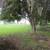 3/2 SFH near Manatee River! 13 thumbnail