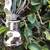 *ANTIQUE* MILLER HEAD LIGHT AND TAIL LIGHT 13 thumbnail