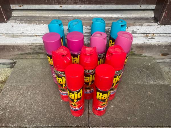 Raid Ant & Roach killer 1