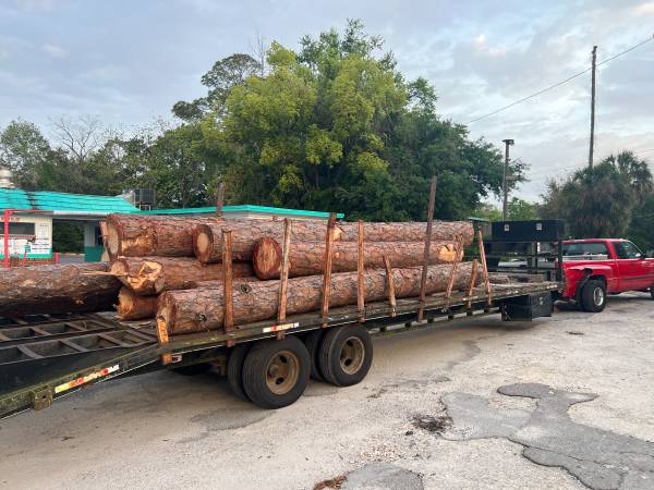 PINE LOGS Old Growth milling to your specifications 1