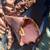 G McGrew FLORAL Mixed Media Painting 2 thumbnail
