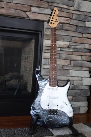 Peavey Raptor (Stratocaster) Electric Guitar - Custom Painted 1