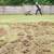 Lawn Aerating,Dethatching-Revive Suffocating Lawns 4 thumbnail