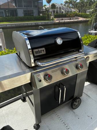 Weber Grill 1