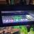 125 gallon aquarium 3 thumbnail