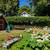 K RUSH TREE SERVICE AND LANDSCAPING LLC 13 thumbnail