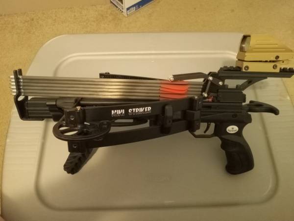 WT mini striker RD w/magazine 1