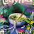 The California Sunday Magazine, Wholphin and Lucky Peach Pho Issue 3 thumbnail