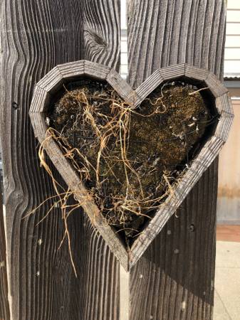 Heart Shape small Planter 1