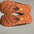 Topo running shoes, womens 8.5 5 thumbnail