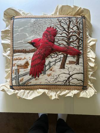 Cardinal Throw Pillows 1