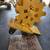 American Compaction wheel 2 thumbnail