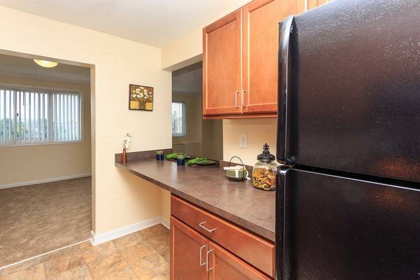 $1,610 / 1br - 683ft2 - Don't wait! This spacious 1 bed, 1 bath will go fast! 683 Sq Ft! (Takoma Park - Adventist Urgent Healthcare)64040029389955124