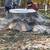 SL landscaping & Tree service 21 thumbnail