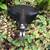 LIKE BRAND NEW BROOKS B-33 (1970's) BICYCLE SEAT (Made In England 9 thumbnail