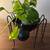 Spider Shaped Metal Bowl 6 thumbnail