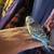 Parakeets 4 thumbnail