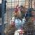 2 roosters 1 thumbnail